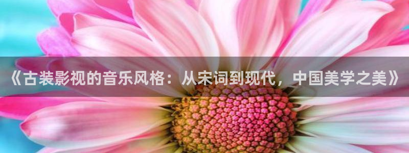 全能影视免费观看官网：《古装影视的音乐风格：从宋词到现代，中国美学之美》