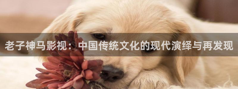 全能影视网站：老子神马影视：中国传统文化的现代演绎与再发现