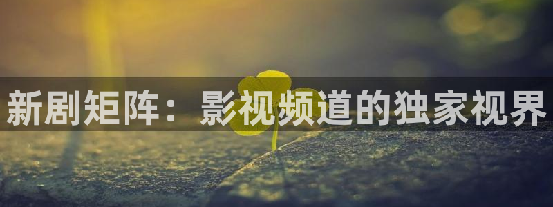 全能影视在线观看免费完整版：新剧矩阵：影视频道的独家视界