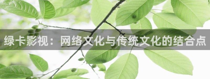 全能影视官网网站入口：绿卡影视：网络文化与传统文化的结合点