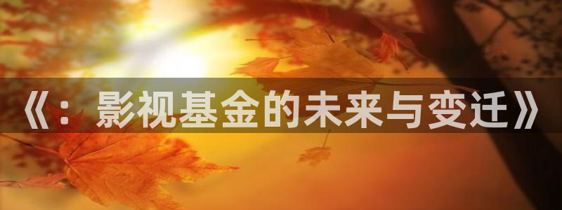 全能人是什么电影的人物：《：影视基金的未来与变迁》