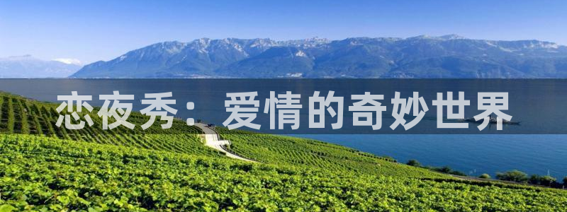 全能播放器电视版：恋夜秀：爱情的奇妙世界