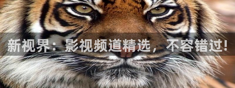 全能 影视：新视界：影视频道精选，不容错过!